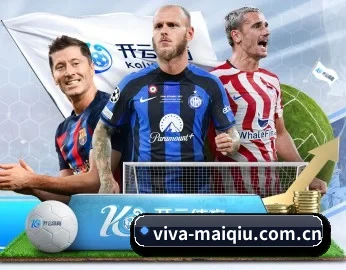 viva-maiqiu.com.cn的故事